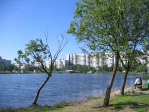 Пруд, озеро на проспекте Просвещения, 40, сад Ивана Фомина