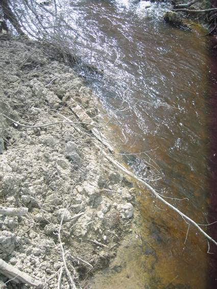 Старопетергофский, Самсониевский канал, сваленный грунт