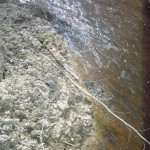 Старопетергофский, Самсониевский канал, сваленный грунт