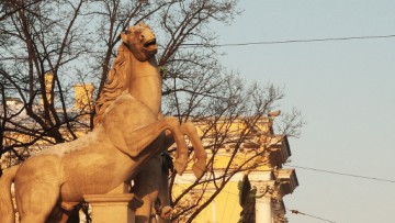 Скульптура лощади, Конногвардейский манеж, Исаакиевская площадь, 1