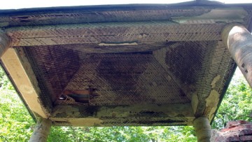 Остатки Краснодолинного павильона в Павловском парке, крыша