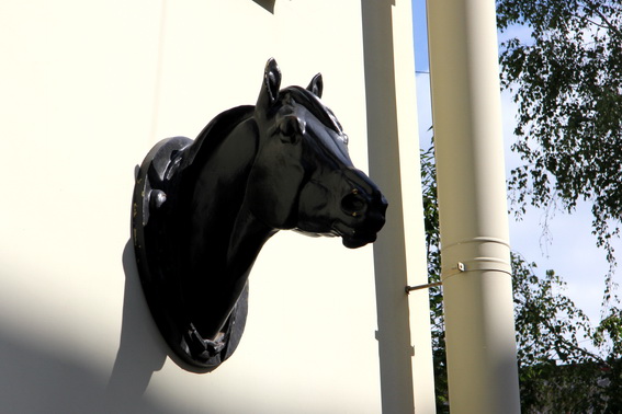 Ветеринарная клиника Центрального района на Коломенской улице, 45, бронзовые скульптуры лошадей