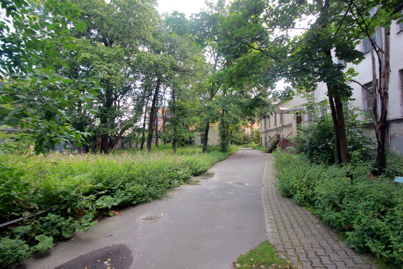 Сад Патриотического института