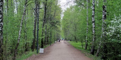 Парк Сосновка, аллея на месте железной дороги