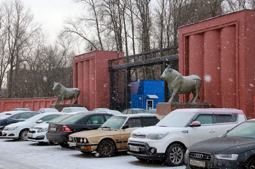 Московское шоссе, 13, скульптуры быков