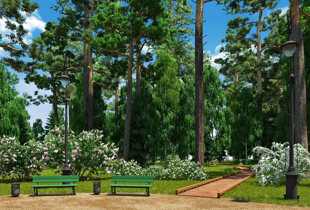 Сестрорецк, проект восстановления Нижнего парка, дорожка из деревянного настила