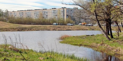 Ржевский лесопарк, пруд на реке Лапке, место впадения ручья