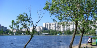 Проспект Просвещения, парк, пруд Проспект Просвещения, парк, пруд
