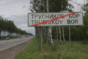 Трубников Бор, Трупников Бор