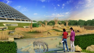Проект зоопарка в Юнтолово