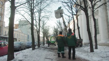 Уход за ветками деревьев на улице Якубовича