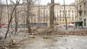 Сквер на Лесном проспекте, улице Комиссара Смирнова. Рубка деревьев