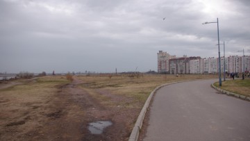 Поле между Лахтинской гаванью и парком 300-летия Петербурга