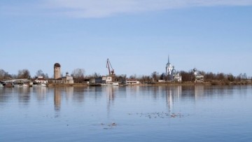 Реки Ленинградской области окончательно освободились ото льда