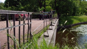 Решетка Пильбашенного моста в Павловском парке