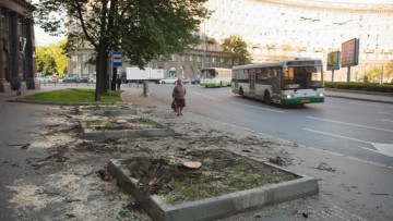 Вырубка деревьев на Комсомольской площади