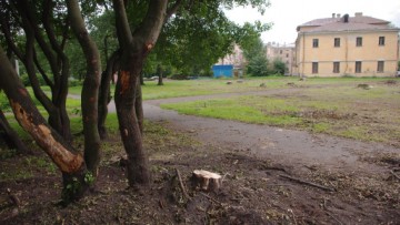 Сад перед «Леннаучфильмом» на Мельничной вырубают под застройку
