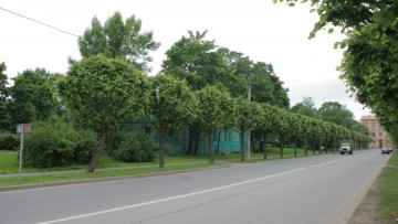 Софийский бульвар в Пушкине