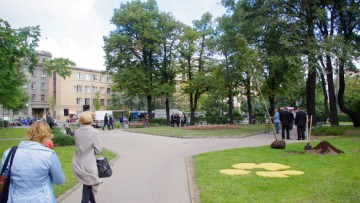 Сквер на пересечении Левашовского и Чкаловского проспектов