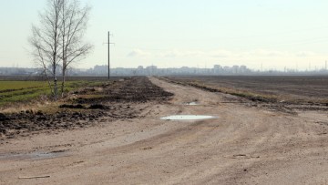Дорога через поле Детскосельского