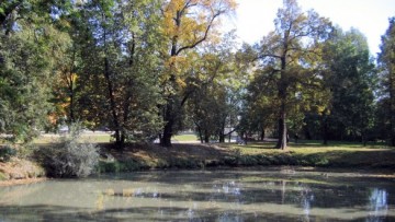Строгановский сад, пруд