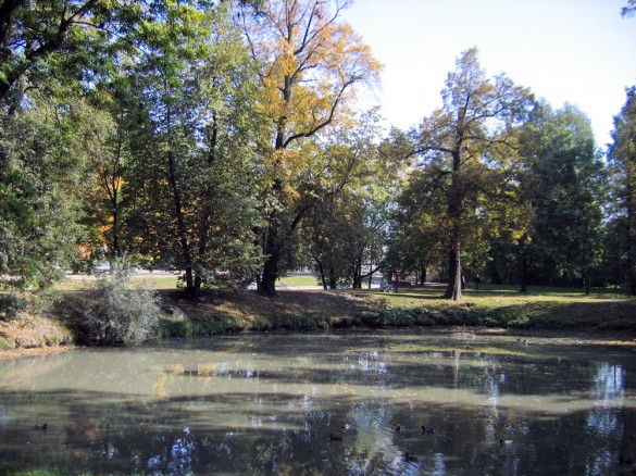 Строгановский сад, пруд