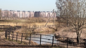 Река Славянка в Детскосельском