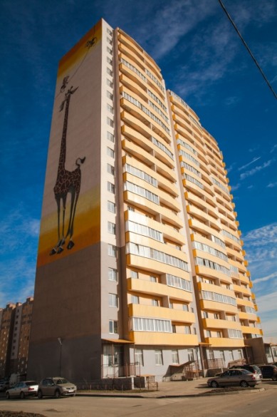 Вишерская улица, 22, жираф
