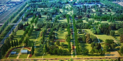 Парк на Митрофаньевском кладбище, аллеи
