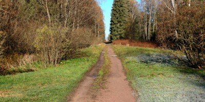 Павловский парк, просека железной дороги