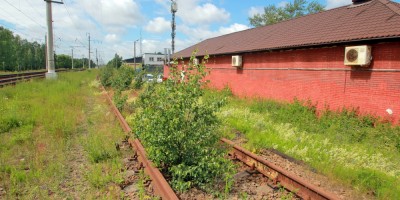 Сосновая Поляна, железнодорожный путь на ЛЭМЗ зарос