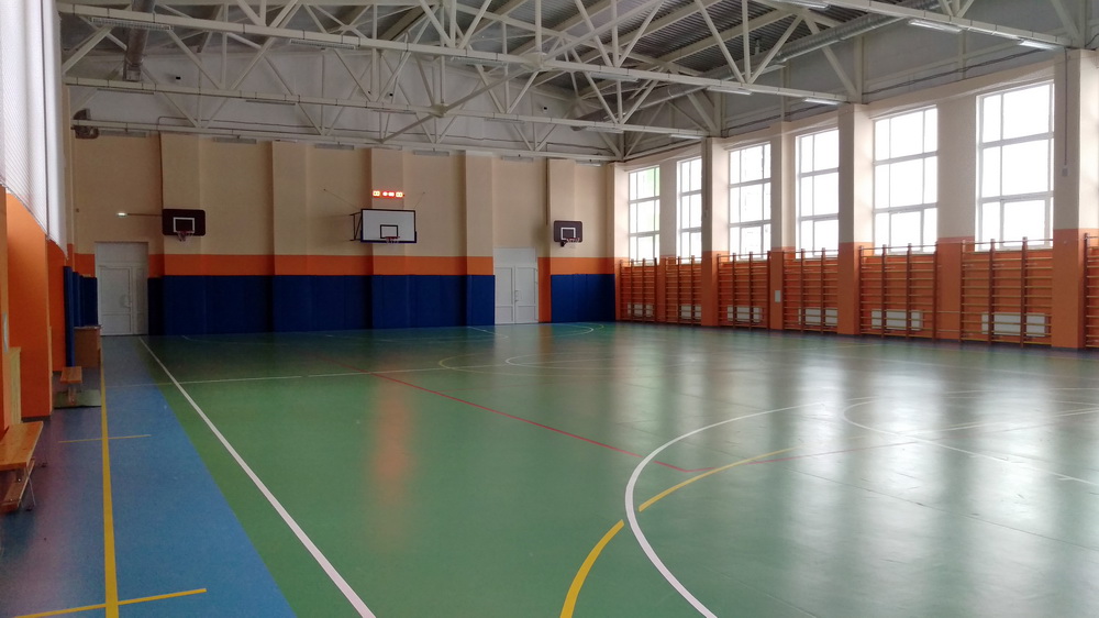 Фото Школа в Шушарах, спортивный зал — Канонер