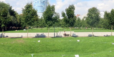 Парк 300-летия СПб, провал