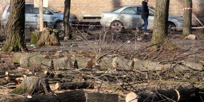 Улица Васи Алексеева, сквер, рубят деревья