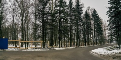 Лес в Ленсоветовским