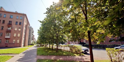 Улица Стахановцев, деревья