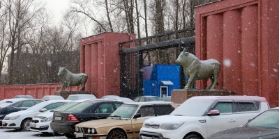Московское шоссе, 13, скульптуры быков