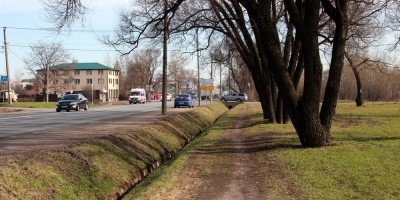 Таллинское шоссе и деревья