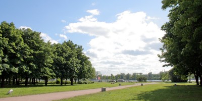Заневский парк, аллея в створе Рижской улицы