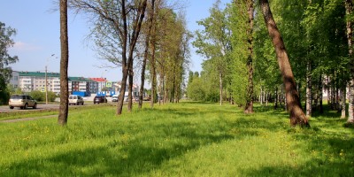 Детскосельский, сквер Ивана Шинкарева, вид на Колпинское шоссе