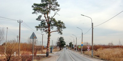 Петергоф, Ропшинское шоссе у перекрестка с улицей Демьяна Бедного