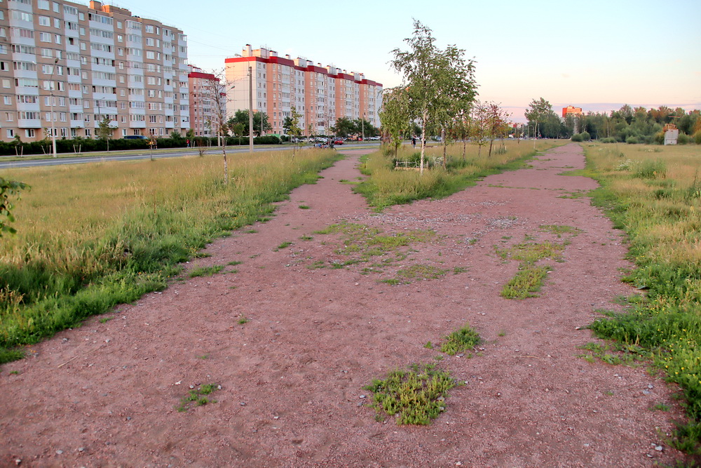 Ул освобождения красное село. Красная село Санкт-Петербург зона. Безымянный сквер г города Костомукши. Заросшая тропинка.