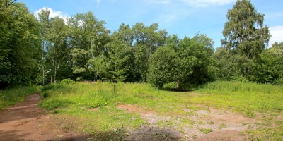 Петергофское шоссе, поляна в лесу на месте школы