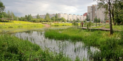 Улица Коммуны, берег реки Лапки, ручей