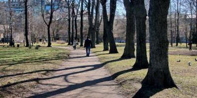 Сампсониевский сад, южная аллея Сампсониевский сад, южная аллея