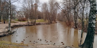 Парк Есенина