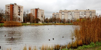 Купчинский пруд