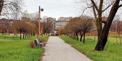 Купчинский сквер, аллея
