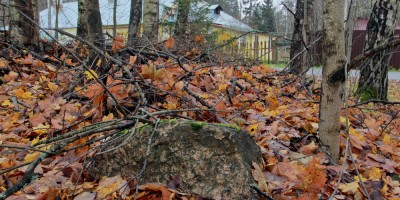 Зеленогорск, Паровозная улица, валун вокзала Зеленогорск, Паровозная улица, валун вокзала