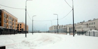 Пушкин, Пущинская улица